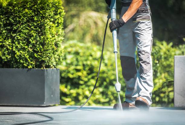 Best Solar Panel Cleaning  in Somerdale, NJ